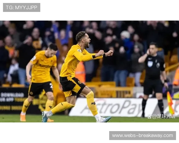 官方：狼队与核心前锋库尼亚完成续约，新合同至2029年